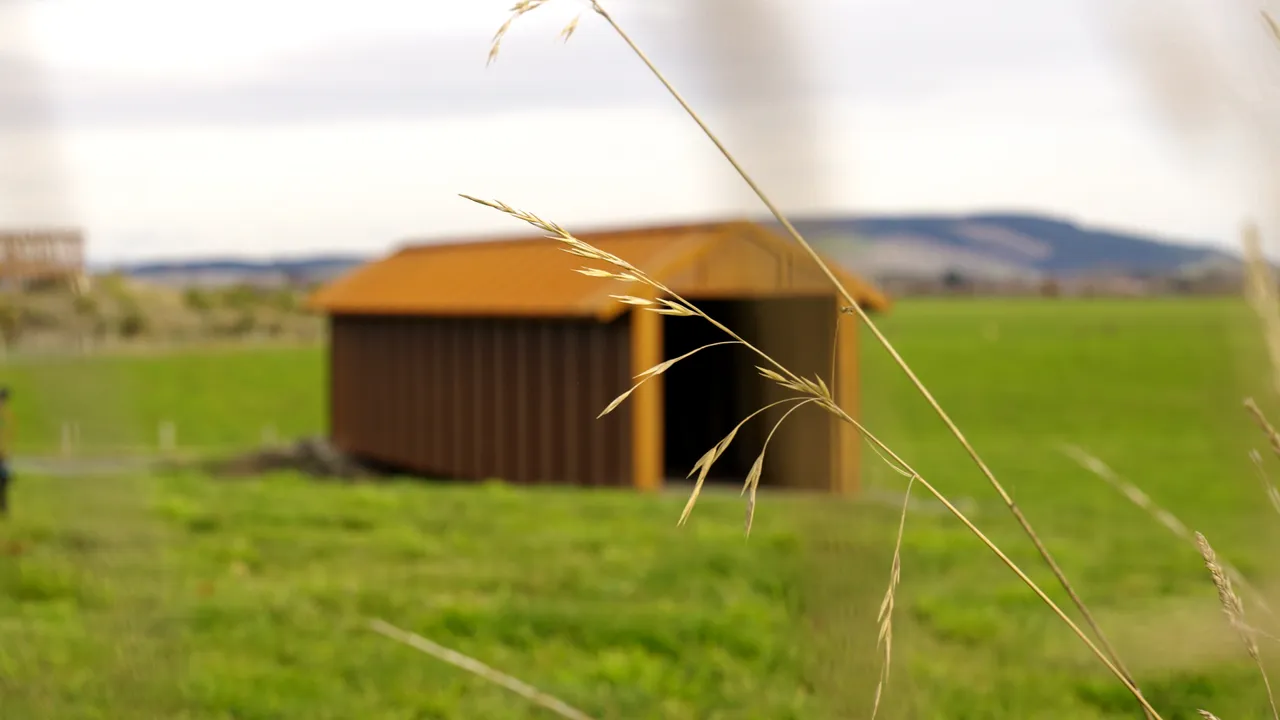 0624-Clutha-Bike-Trail-240