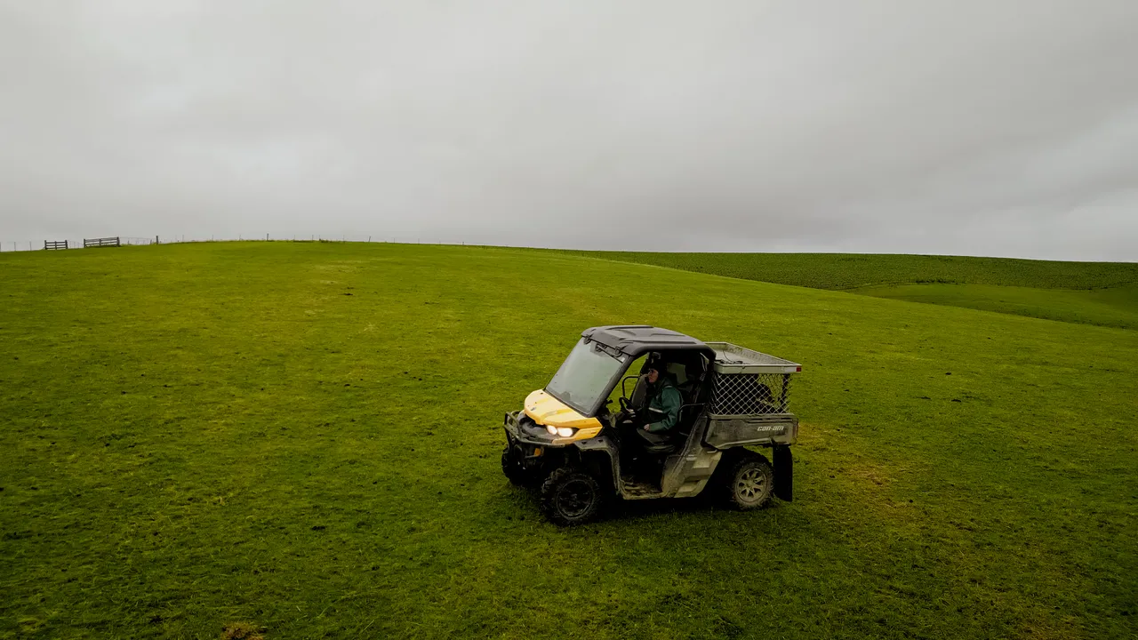 0624-Clutha-Sarahs-Farm-59