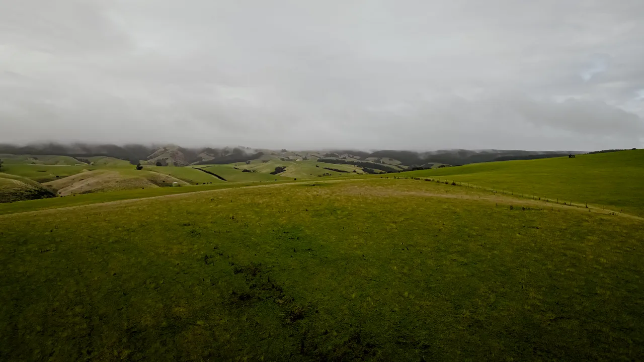0624-Clutha-Sarahs-Farm-85