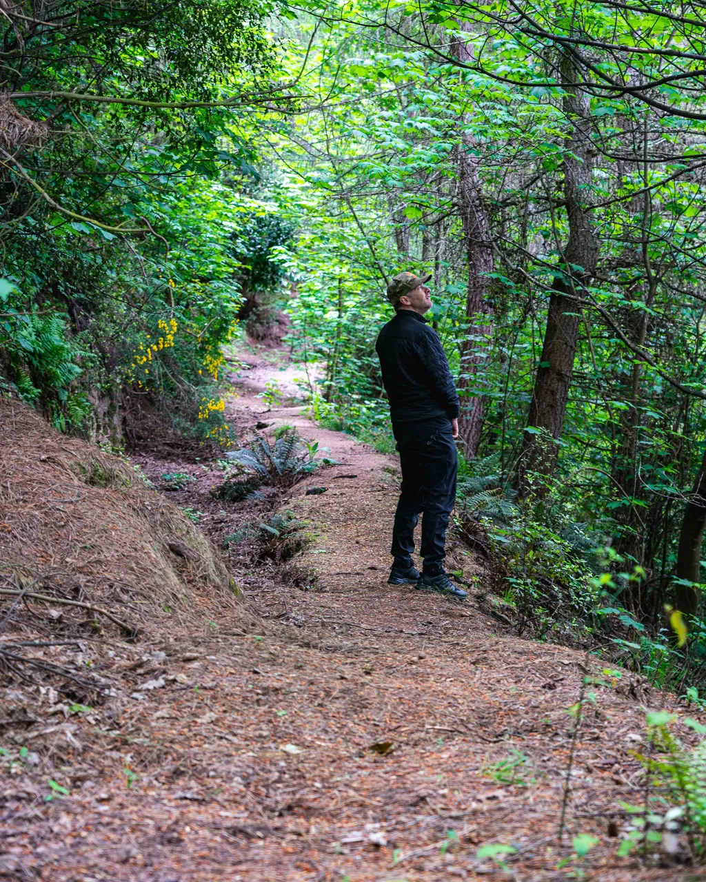 People walking in the bush