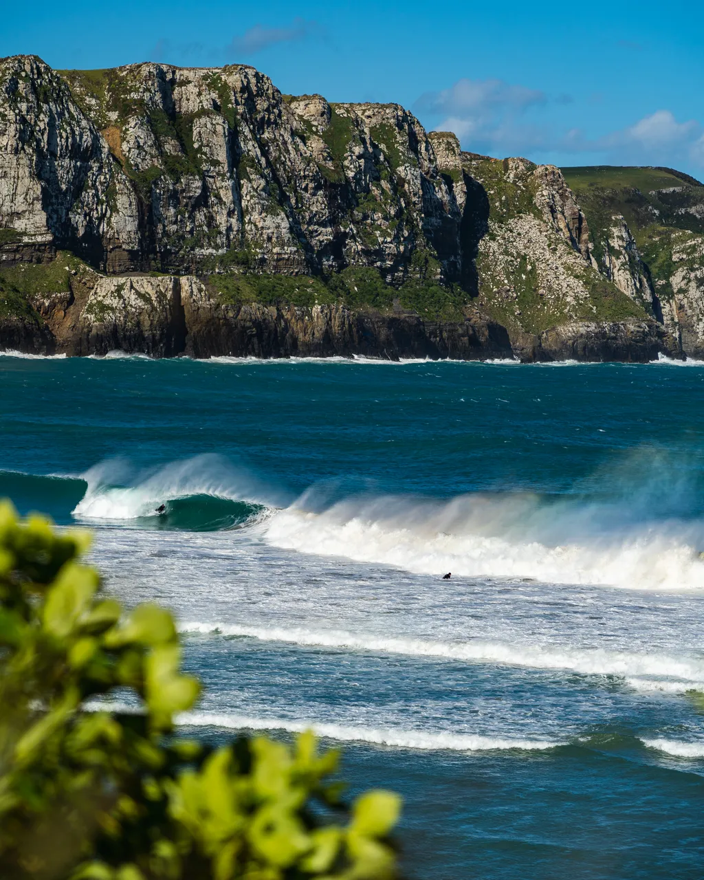 Sea and cliffs