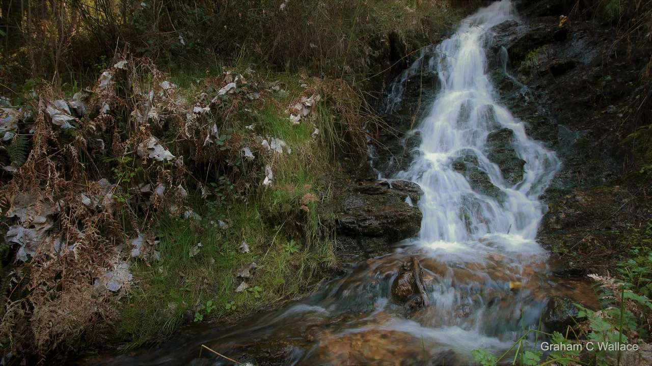 IMG_0463