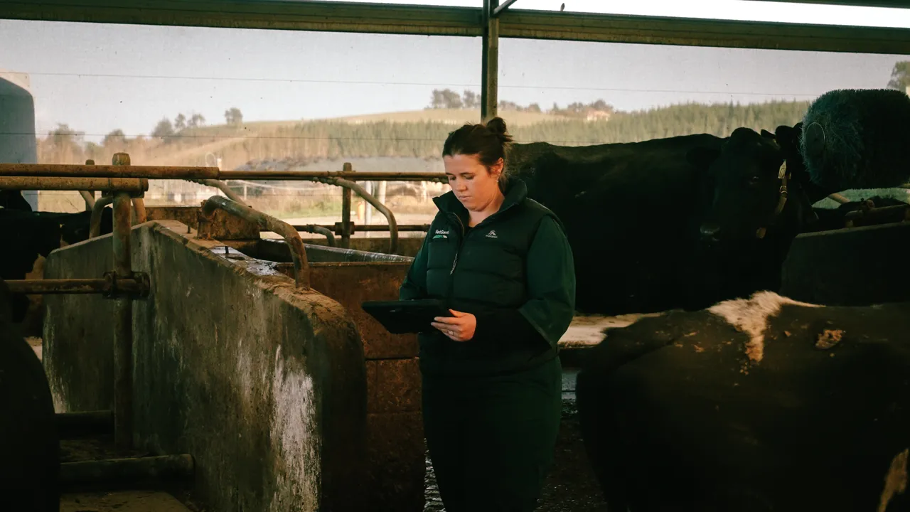 0825-Clutha-VetSouth-096