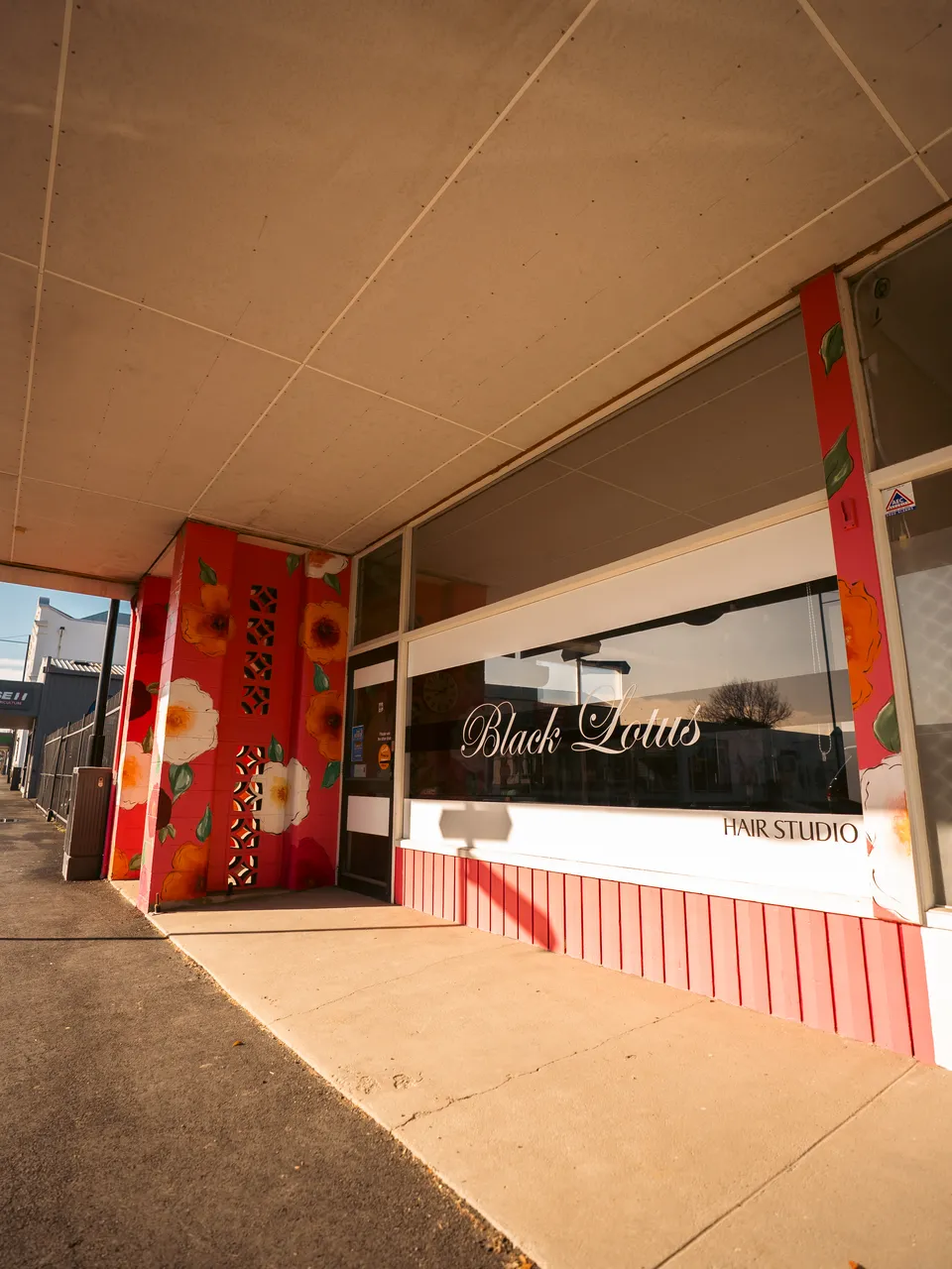 0825-Clutha-Alice-Murals-22