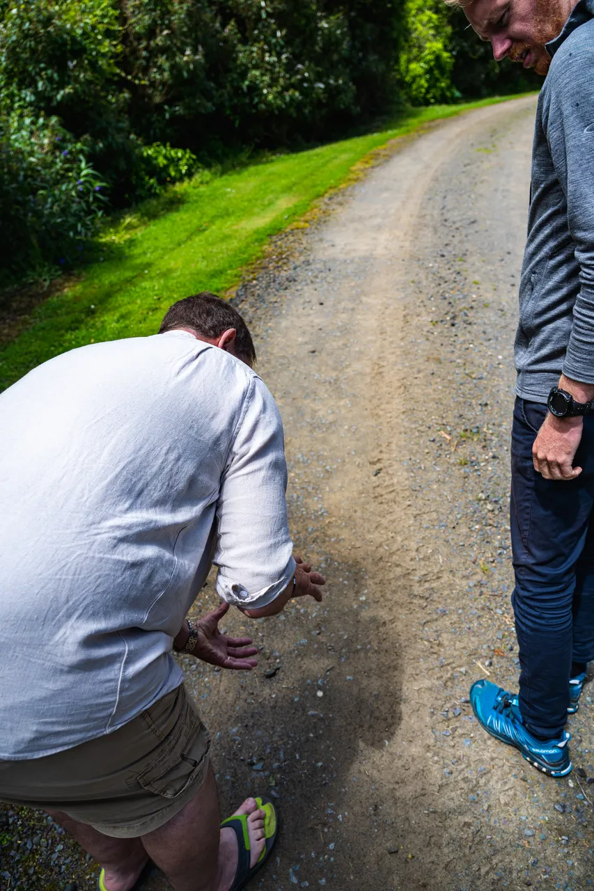 People walking on road