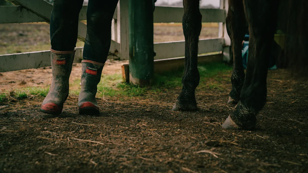 0825-Clutha-Telford-089