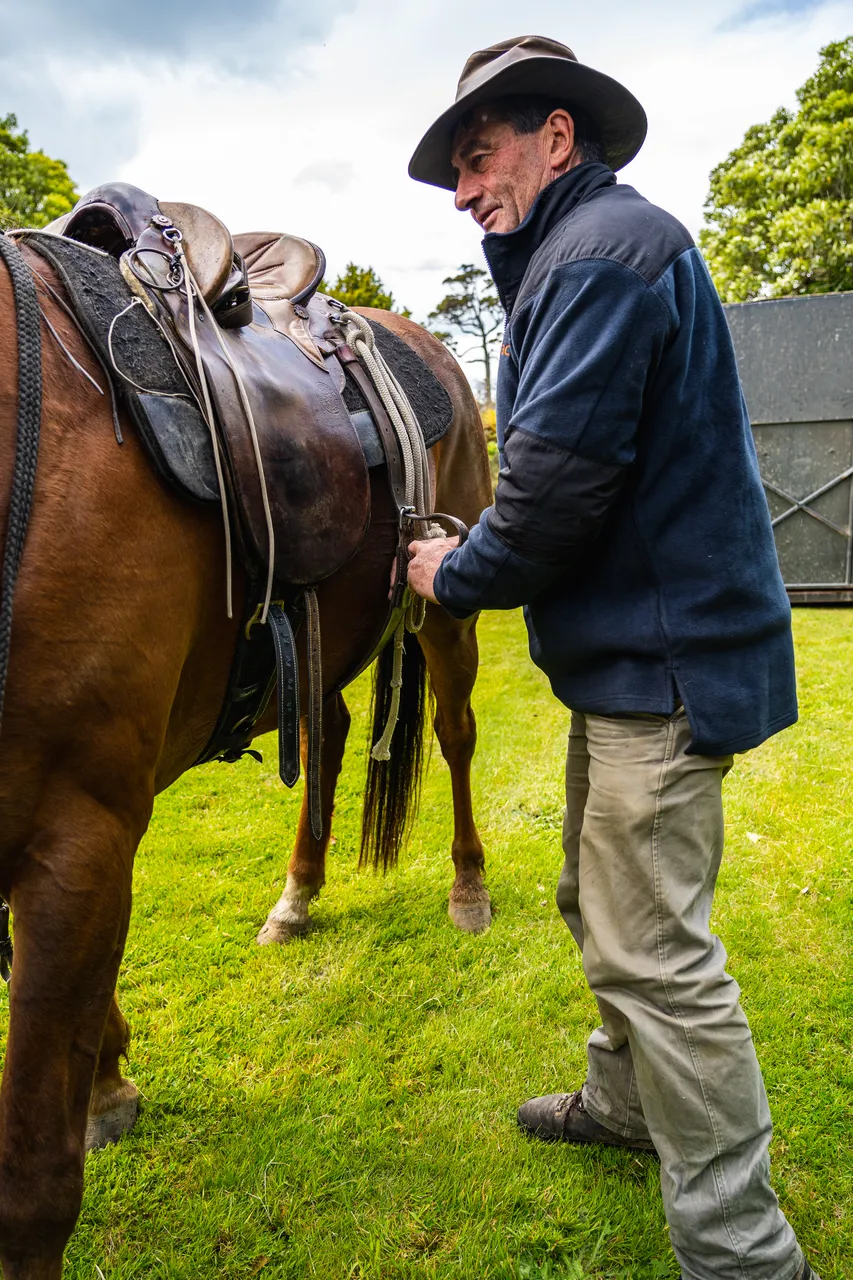 Man with horse on grass