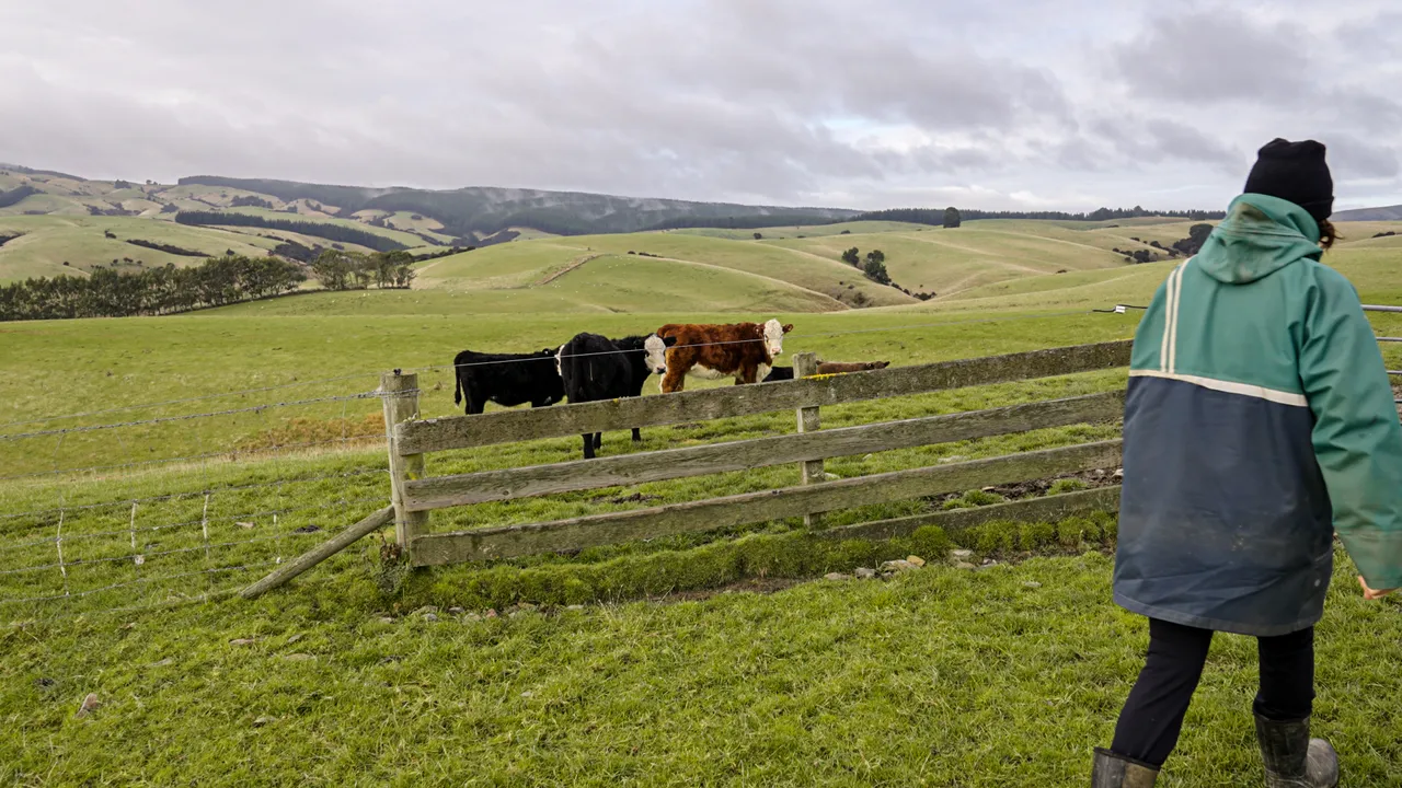 0624-Clutha-Sarahs-Farm-13