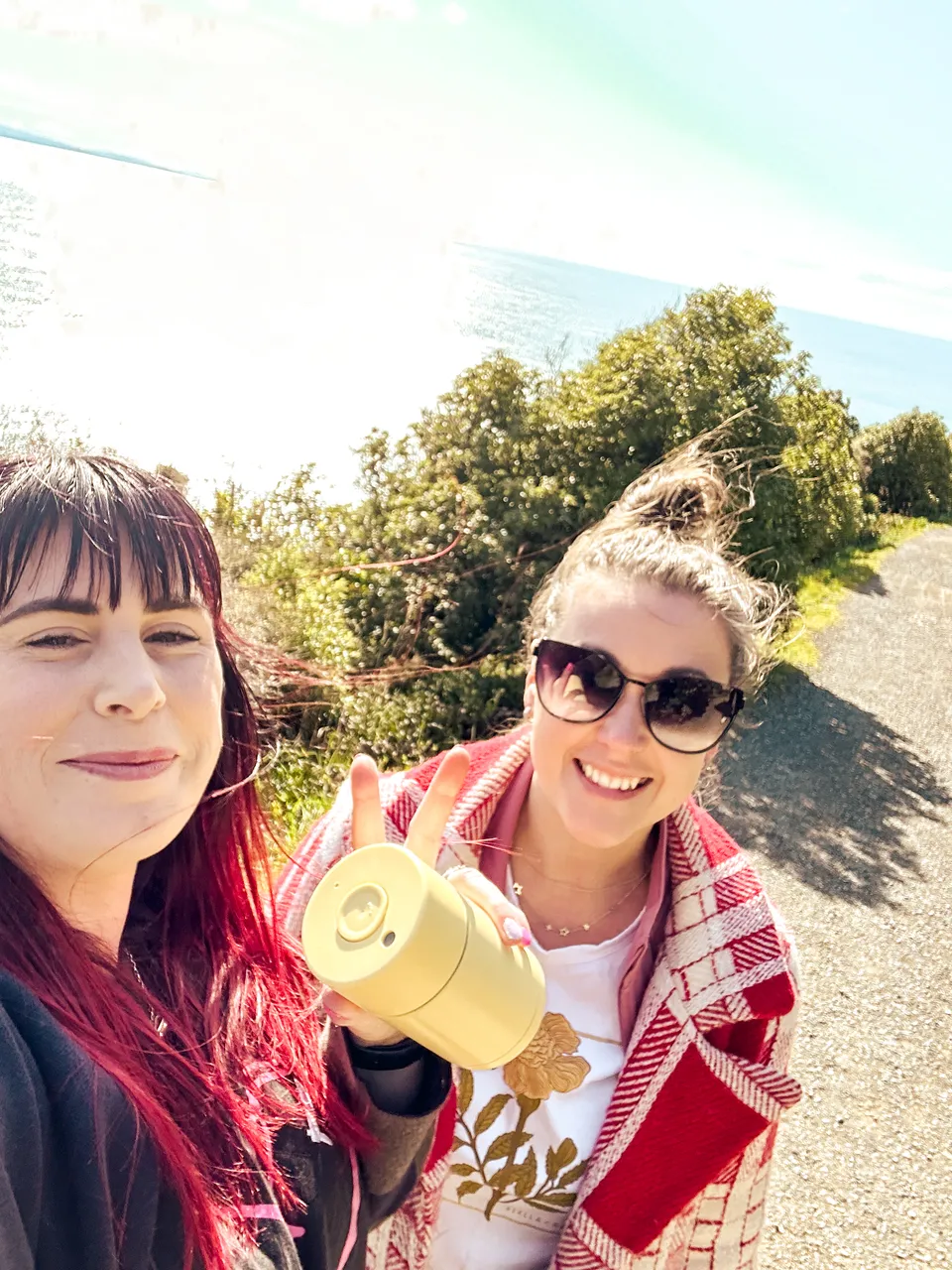 0924-Nugget-Point-18