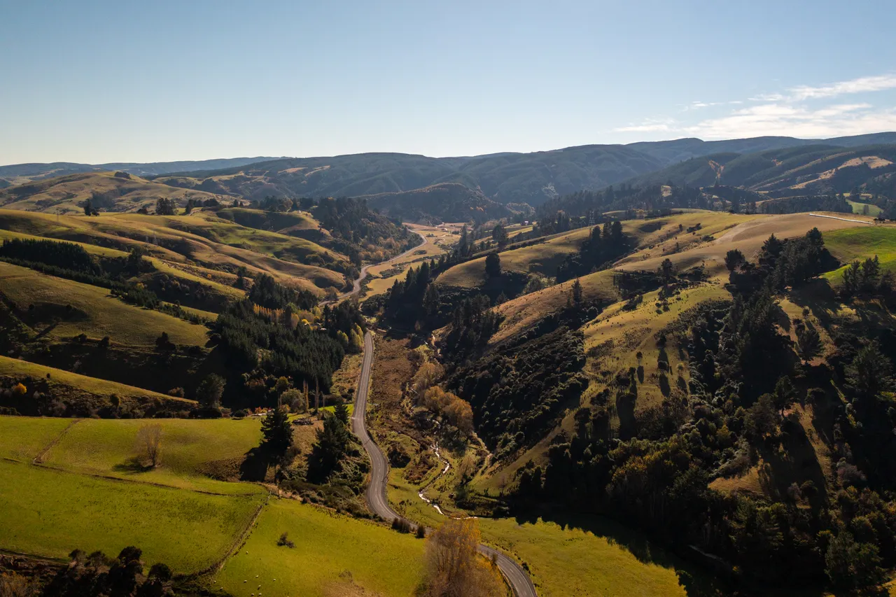 Road and paddocks 