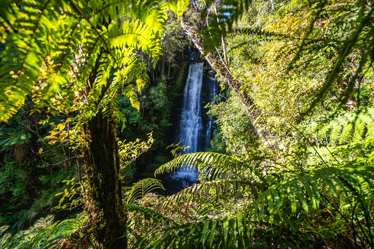 Waterfall in the bush