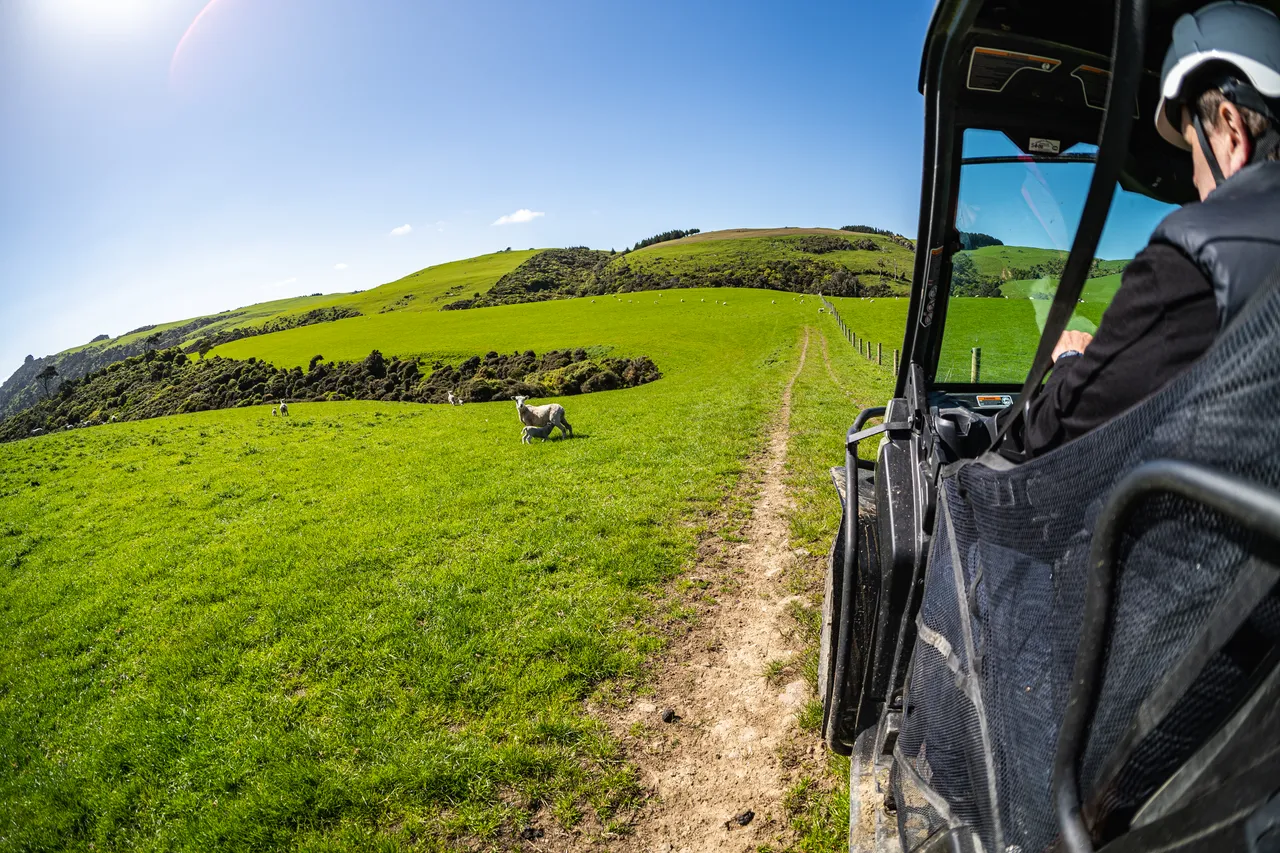 side by side driving through farmland