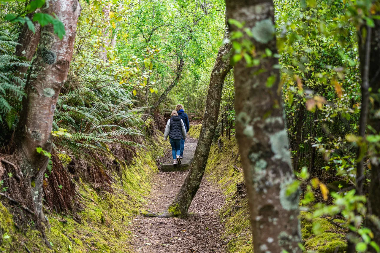 People walking in the bush