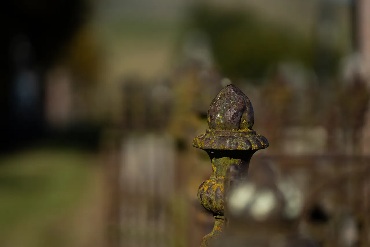 Close up of fence