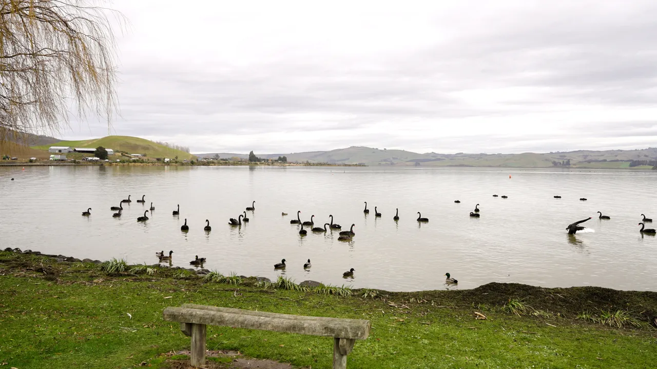 0624-Clutha-Bike-Trail-008