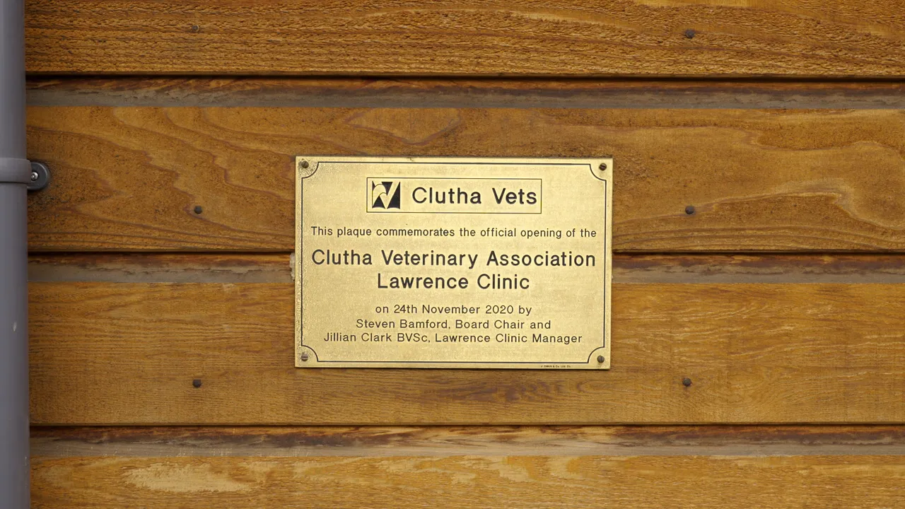 0624-Clutha-Vets-Lawrence-05