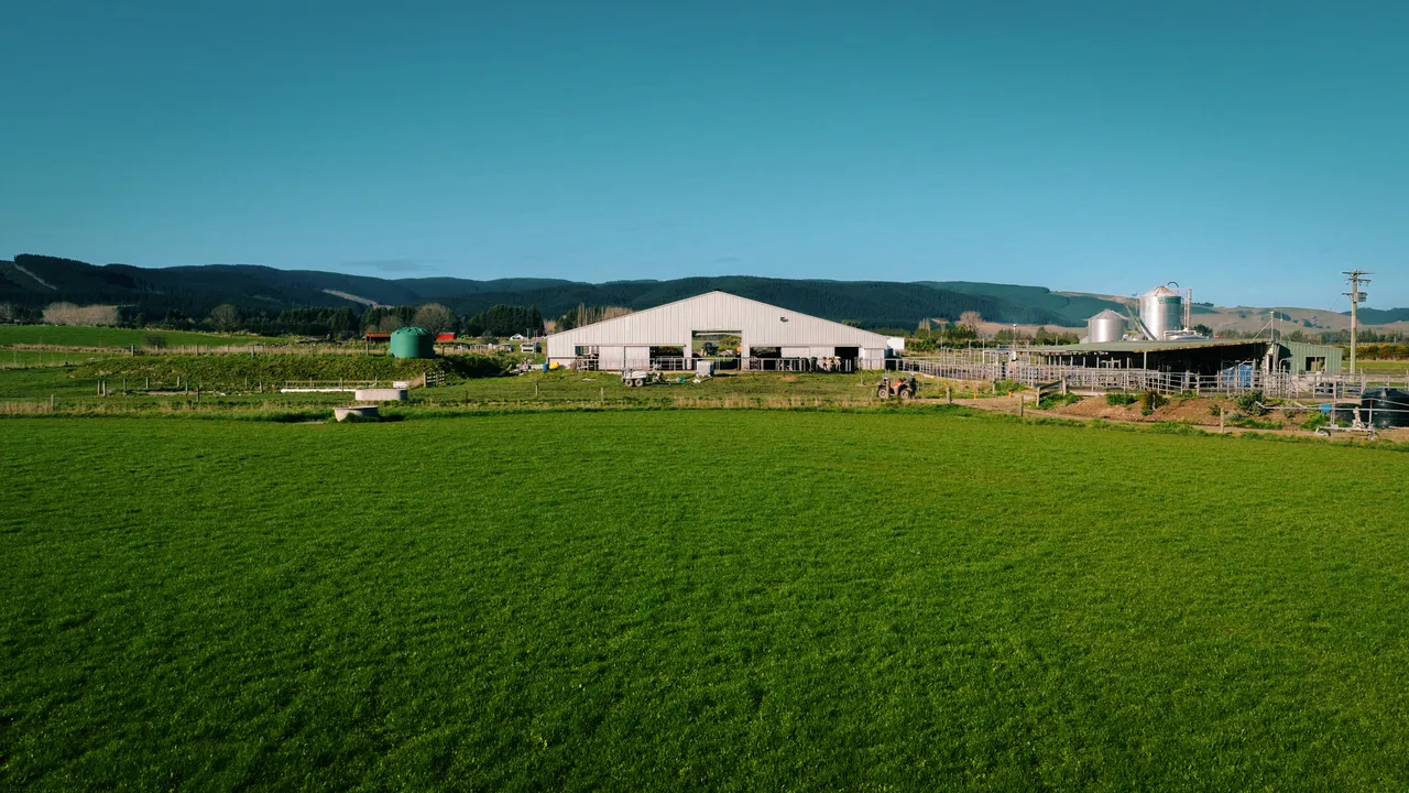 0825-Clutha-VetSouth-028