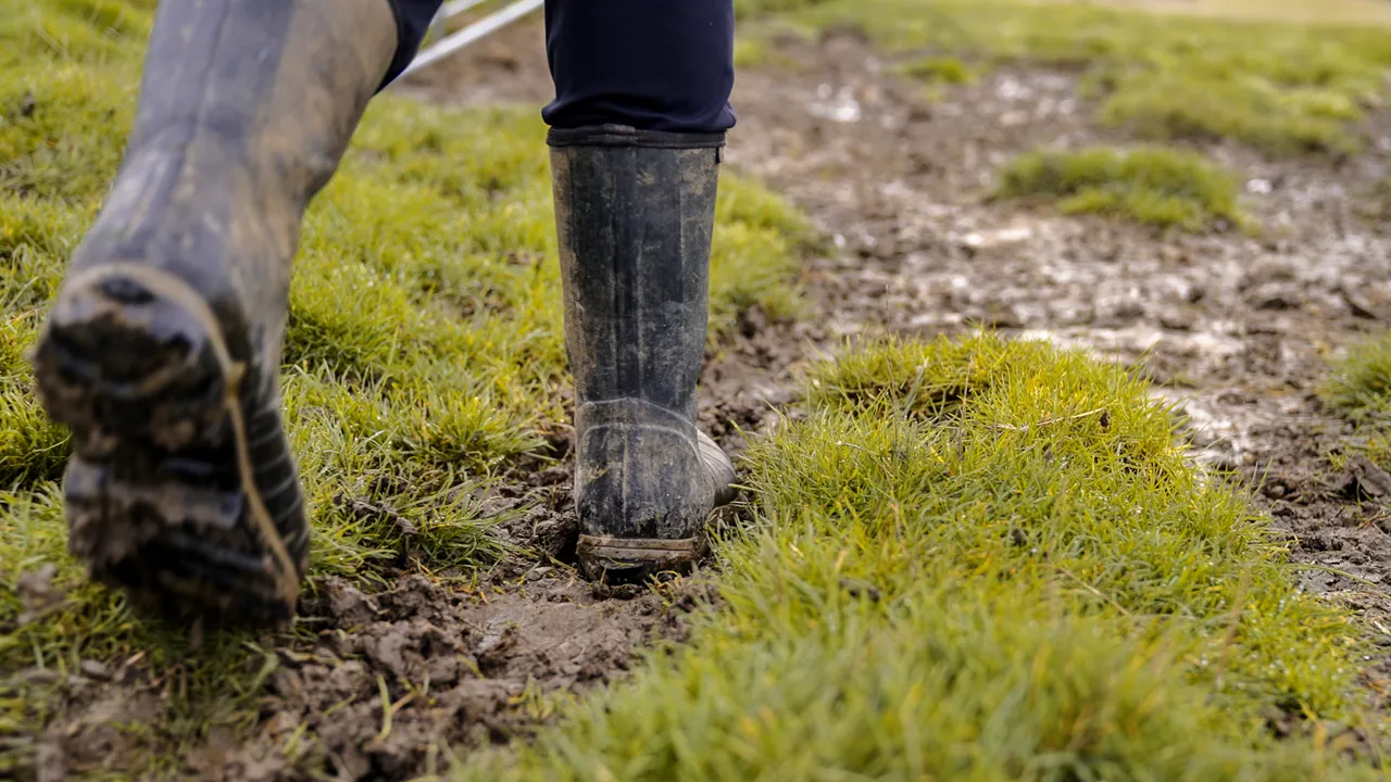 0624-Clutha-Sarahs-Farm-24