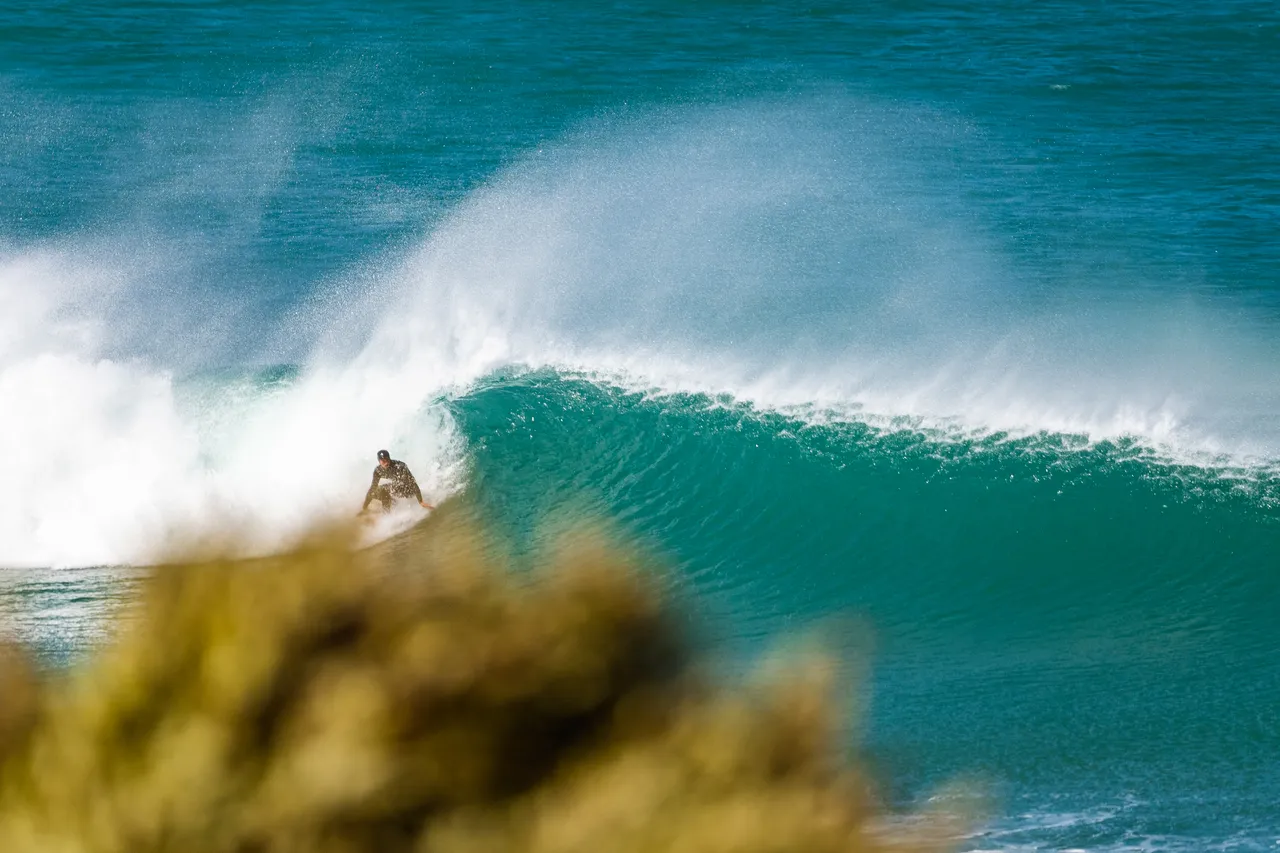 Sea and surfer