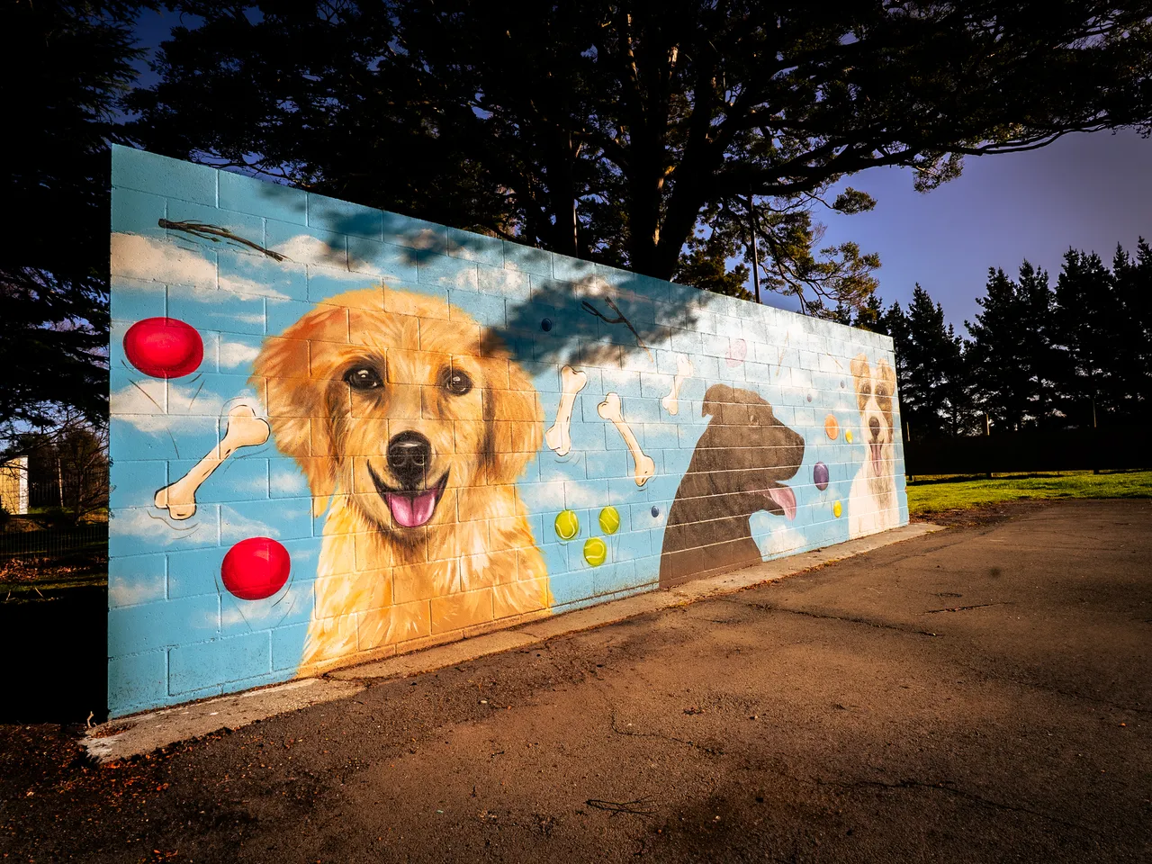 0825-Clutha-Alice-Murals-59