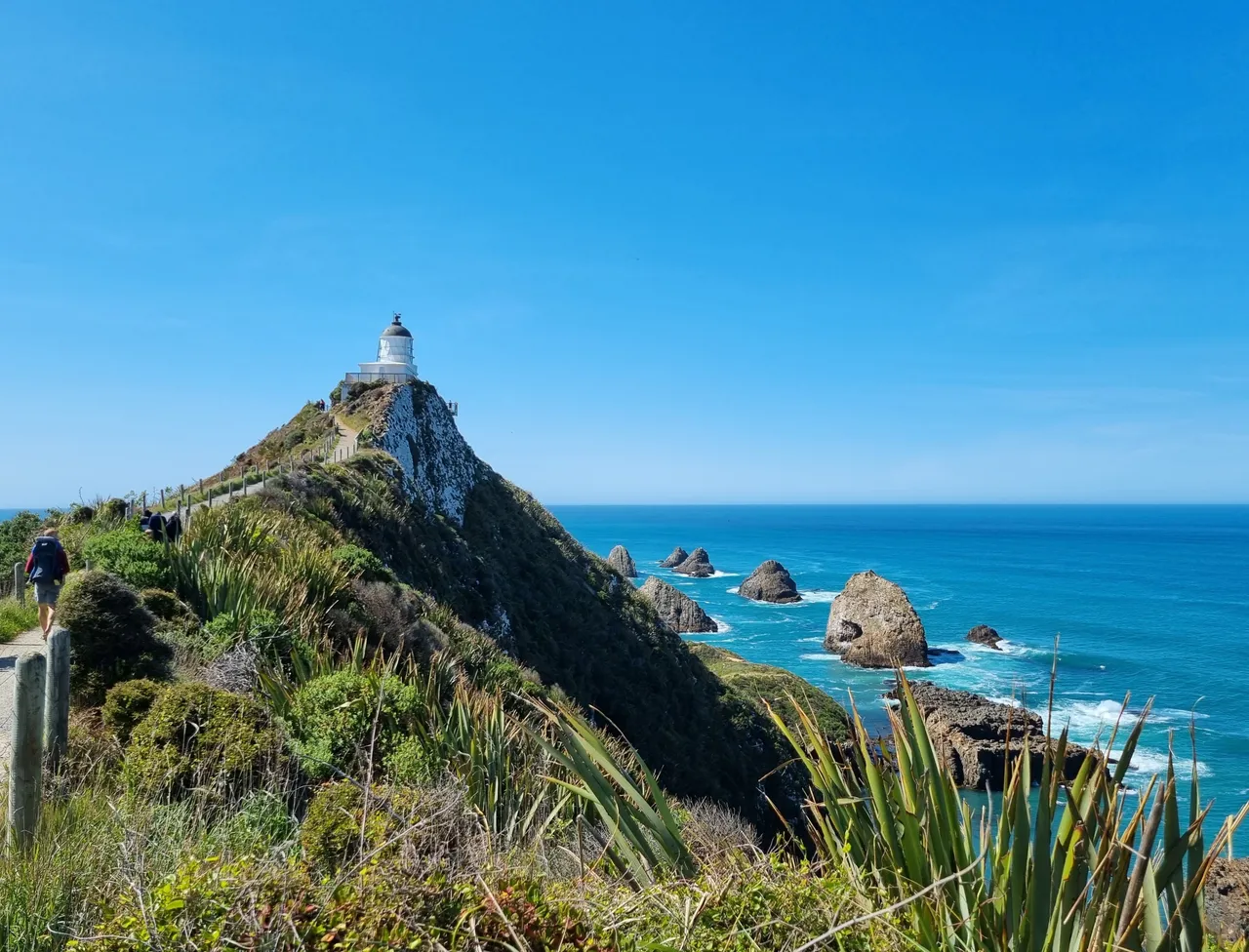 Nugget Point Lighthouse-3