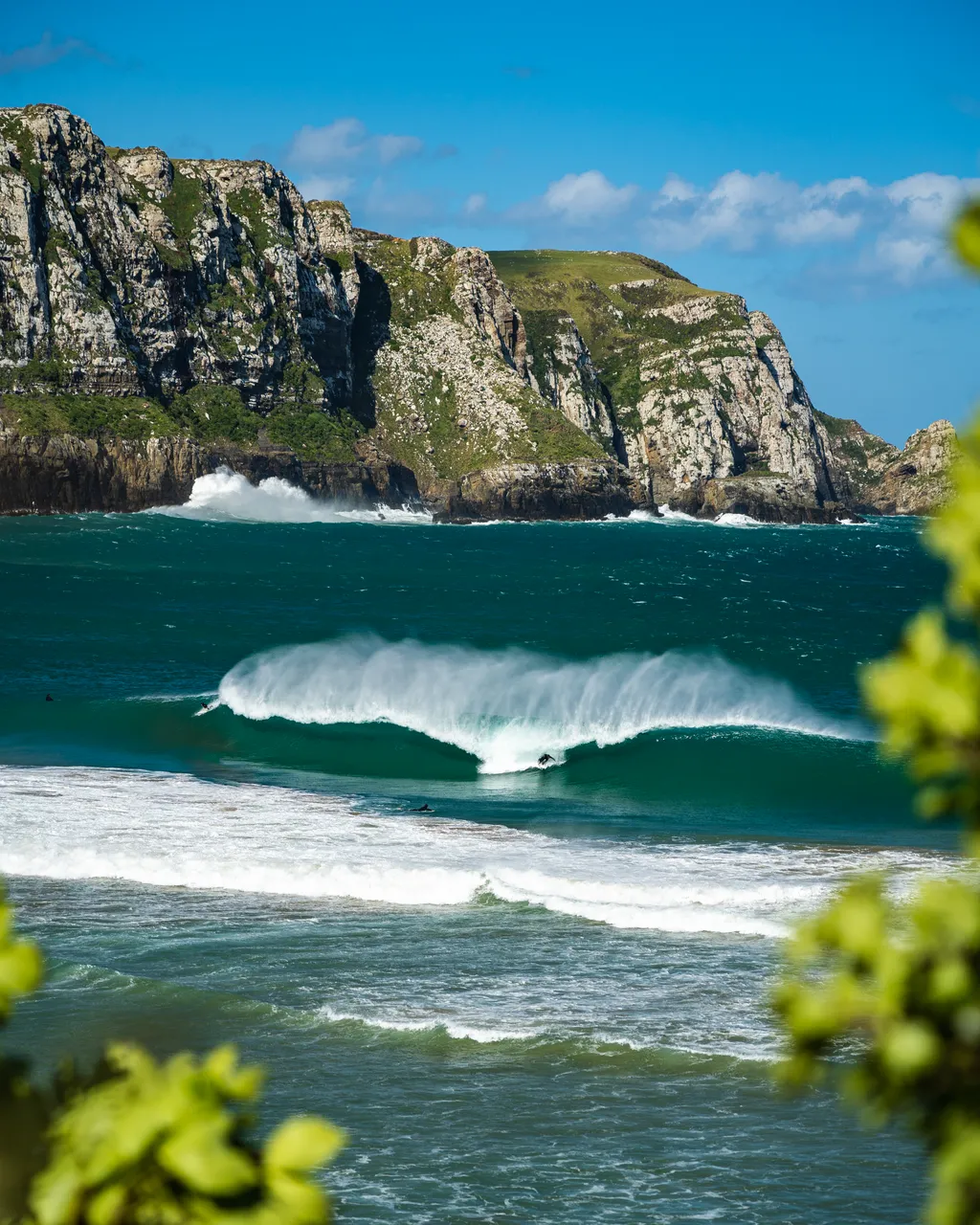 Sea and cliffs