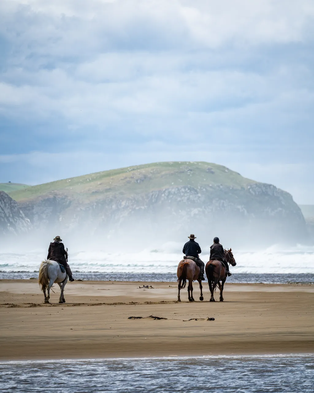 Horses on the beach by the sea