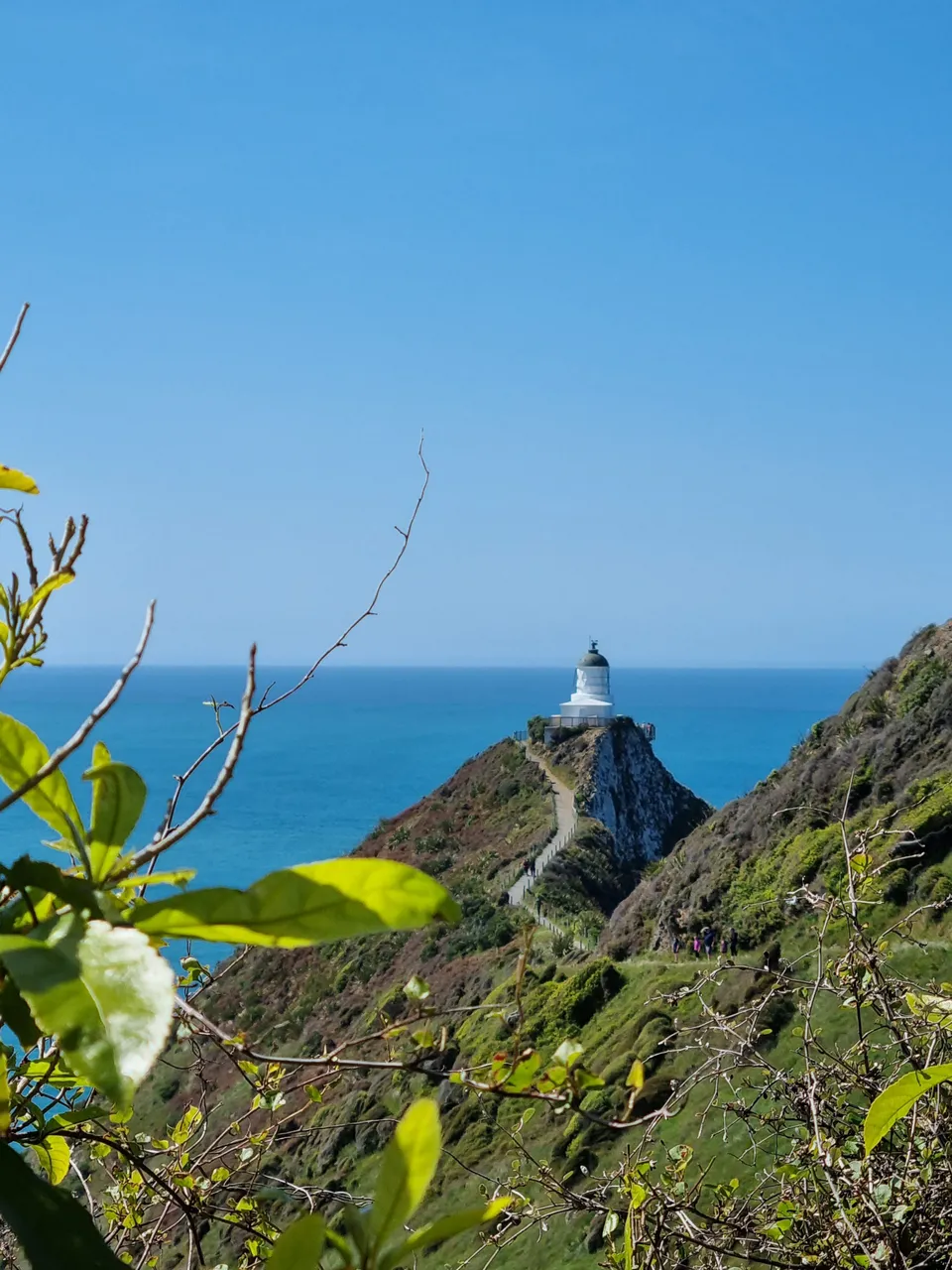 Nugget Point Lighthouse