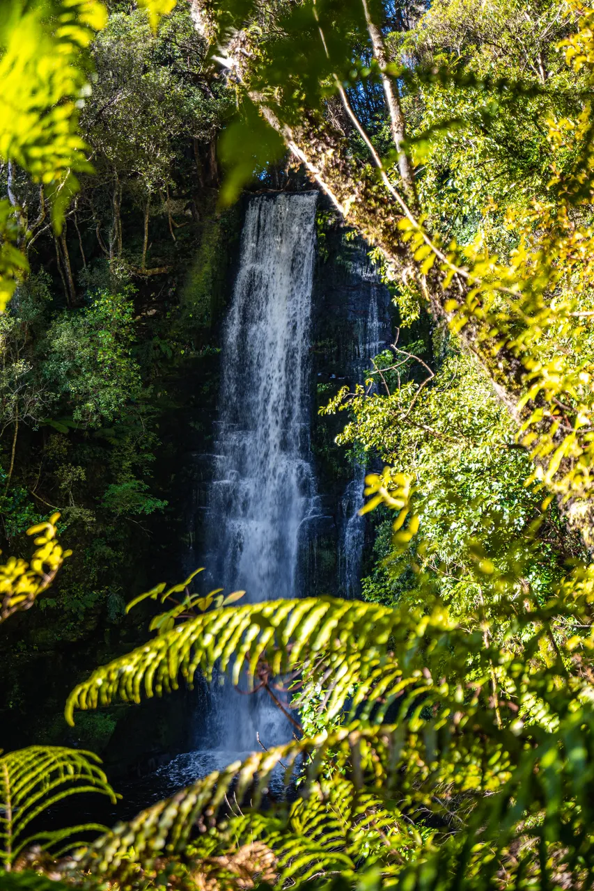Waterfall in the bush