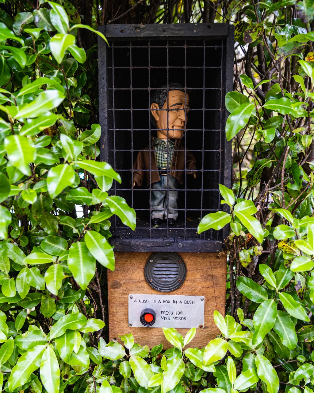 Cage and button