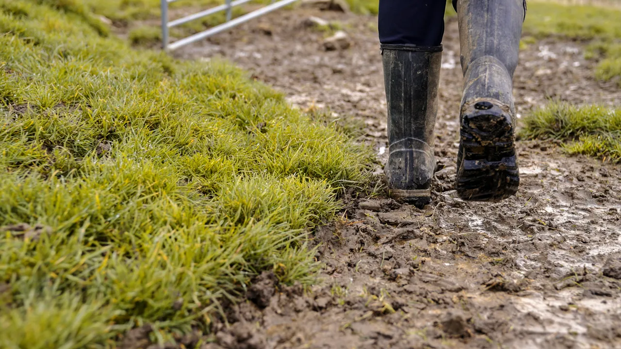 0624-Clutha-Sarahs-Farm-25