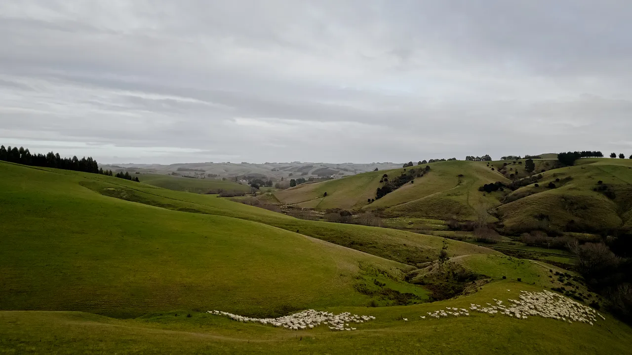0624-Clutha-Sarahs-Farm-84