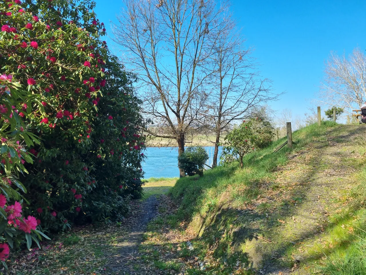 Blair Athol Walkway (16)
