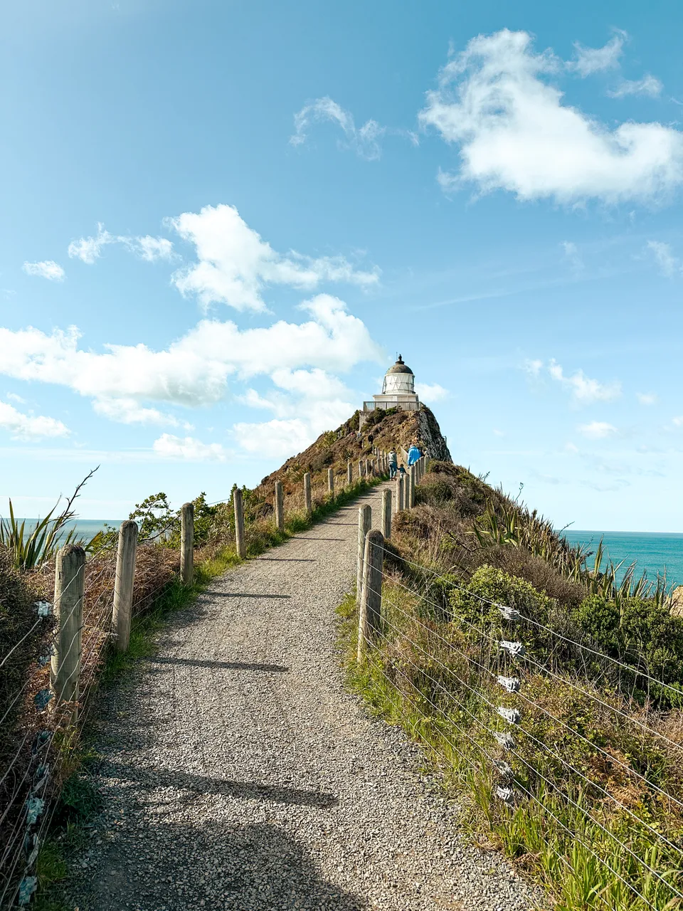 0924-Nugget-Point-01