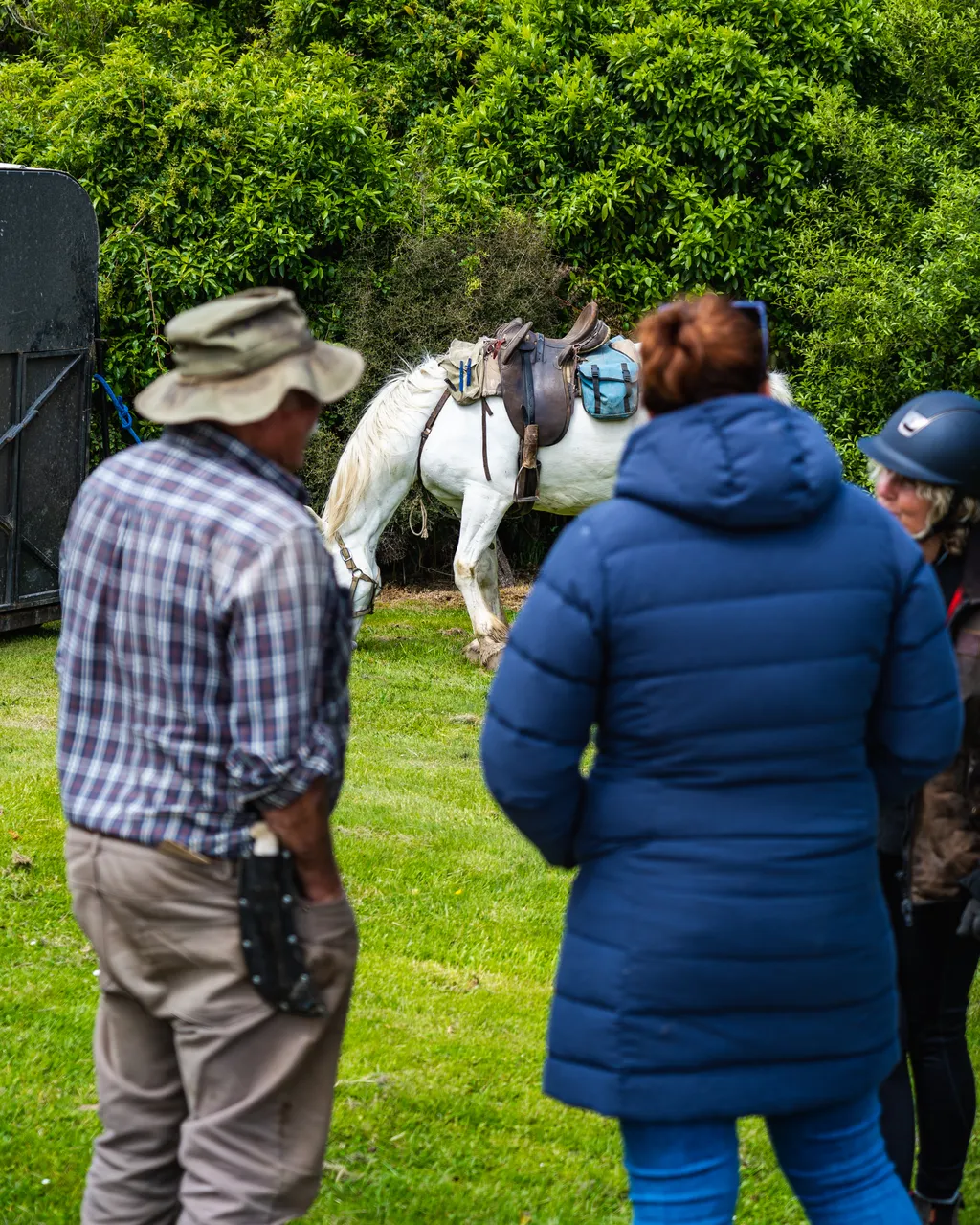 People and horse standing on grass