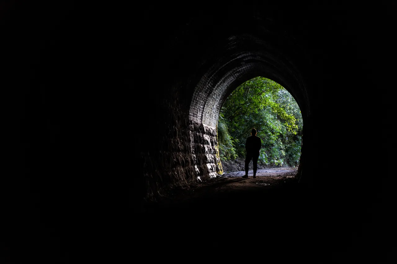 Trees outside tunnel