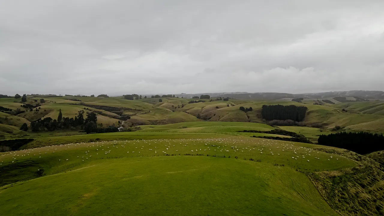 0624-Clutha-Sarahs-Farm-71