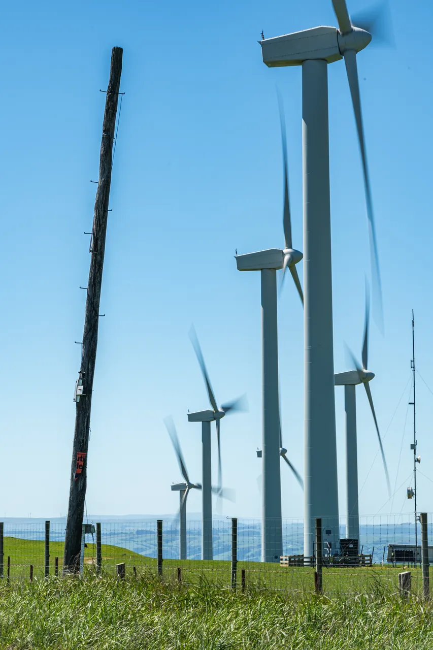 Wind turbines and grass
