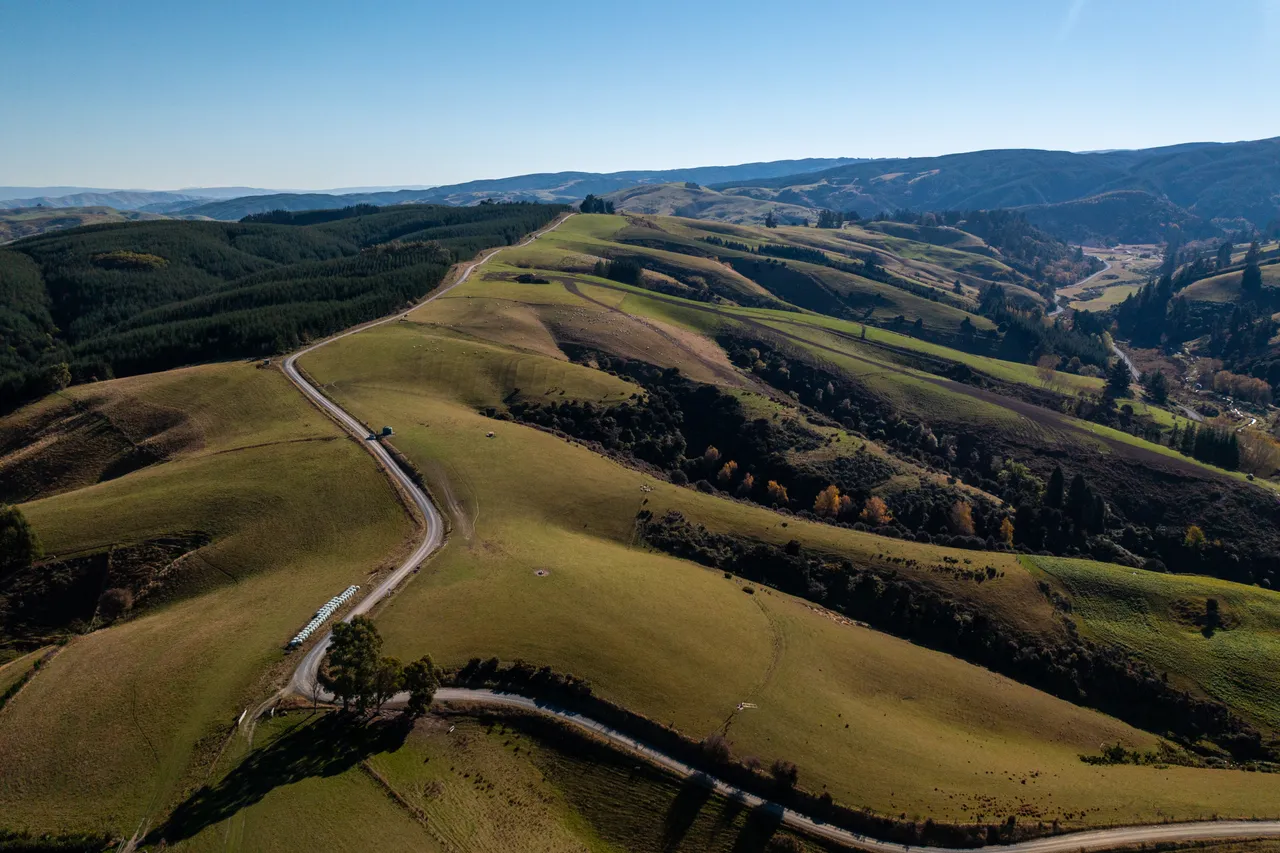 Road and paddocks 