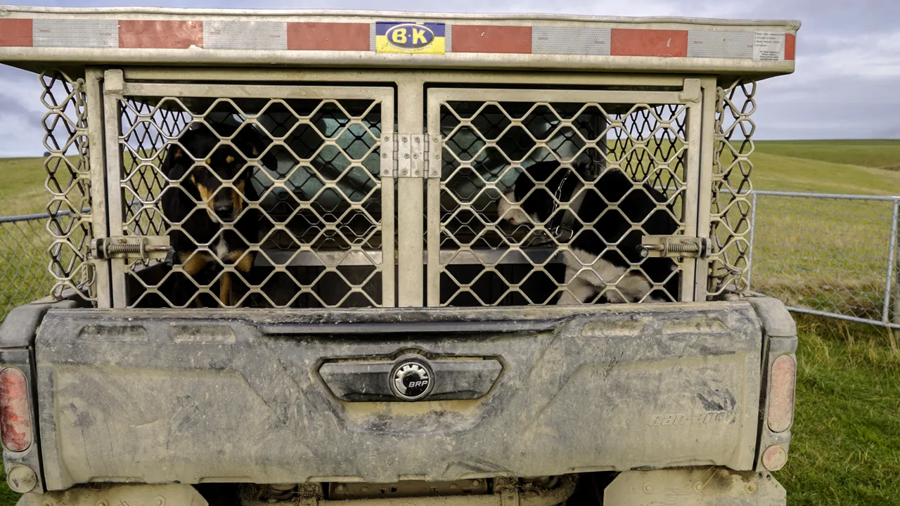 0624-Clutha-Sarahs-Farm-05