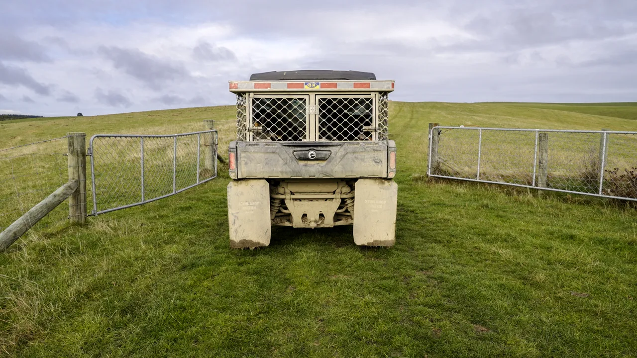 0624-Clutha-Sarahs-Farm-08