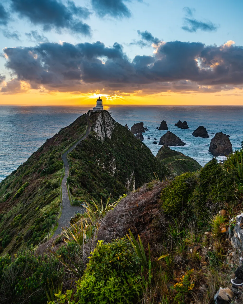 Nugget Point Lighthouse and sunset 