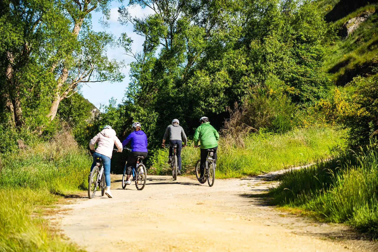Bikers on trail