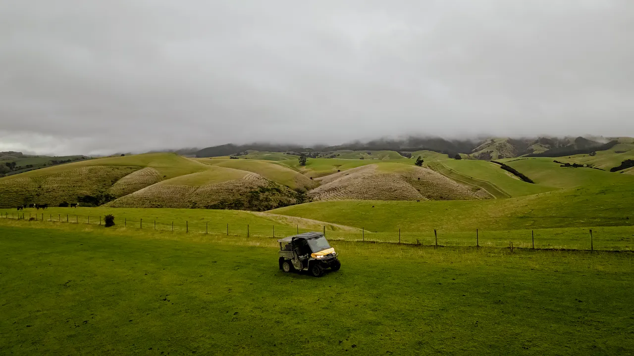 0624-Clutha-Sarahs-Farm-66