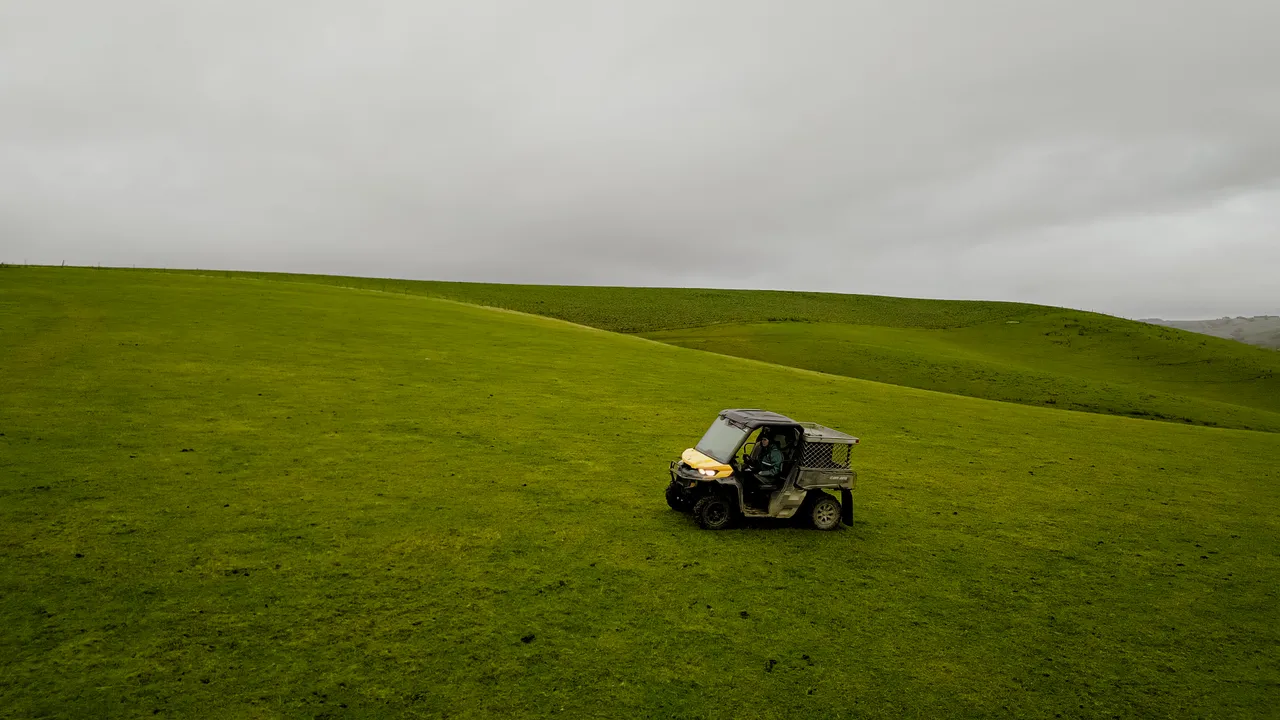 0624-Clutha-Sarahs-Farm-60