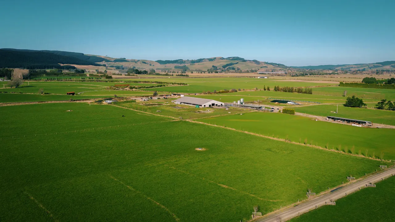 0825-Clutha-VetSouth-029