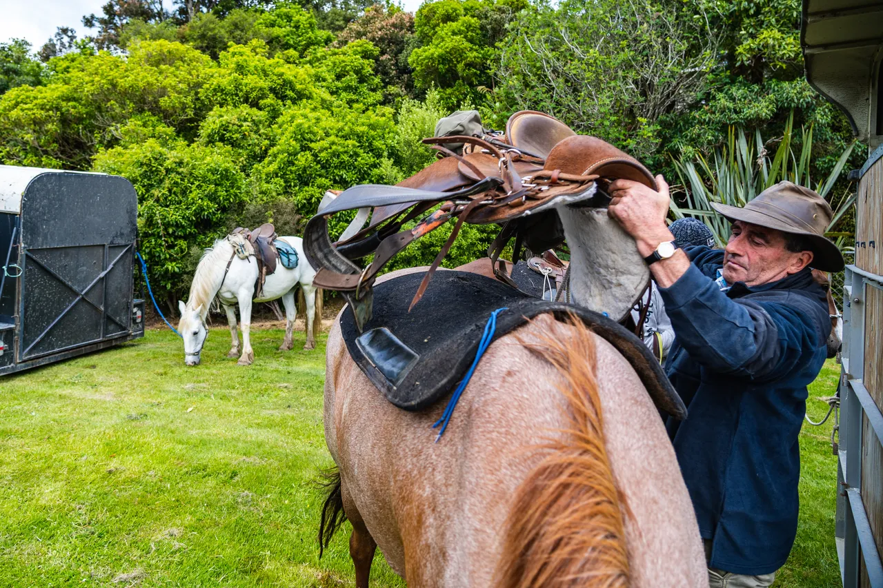 Man putting saddle on horse