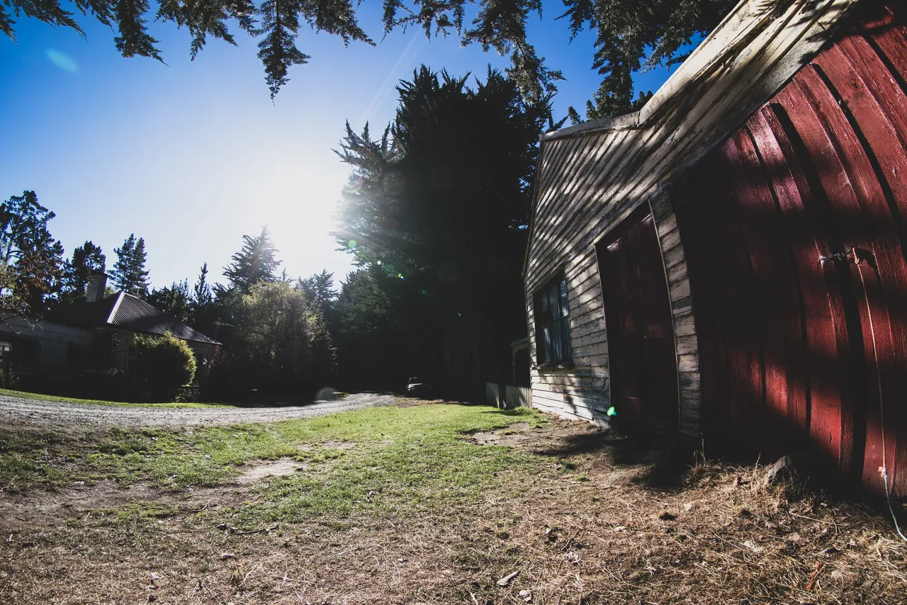 Shed and grass beside a road