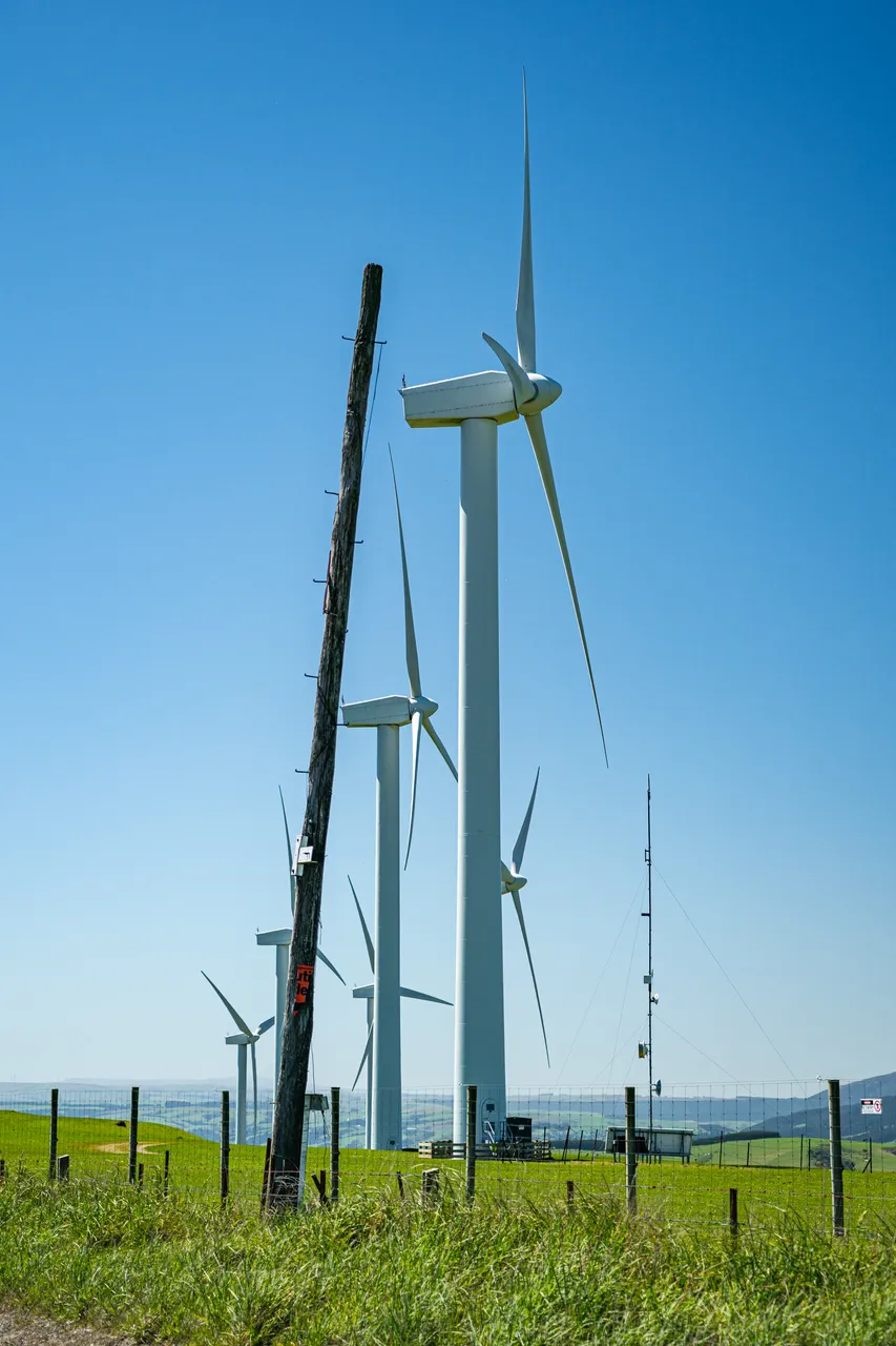 Wind turbines and grass