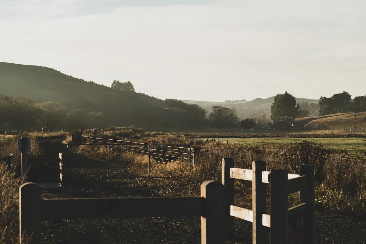 Paddocks and wooden fence